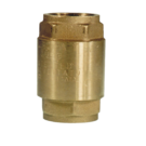 E831 Brass Spring Check Valve 1