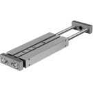 DPZJ-20-10-P-A-S2 Festo Twin-piston cylinder