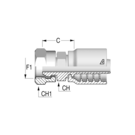 Alfacrimp 1/4" NPSM Female x 1/4" HFF-AC2 FS NPSM-H -04-04 CR 19 H19
