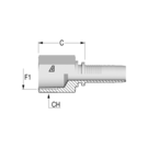 Standard 1/2" NPT Fixed Female x 1/2" HFF-STD F NPTF-H -08-08 H25