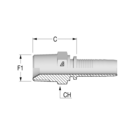 Standard 2" BSPT Male x 2" HFF-STD M BSPT-H -32-32 H65